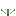 Etapa 2
